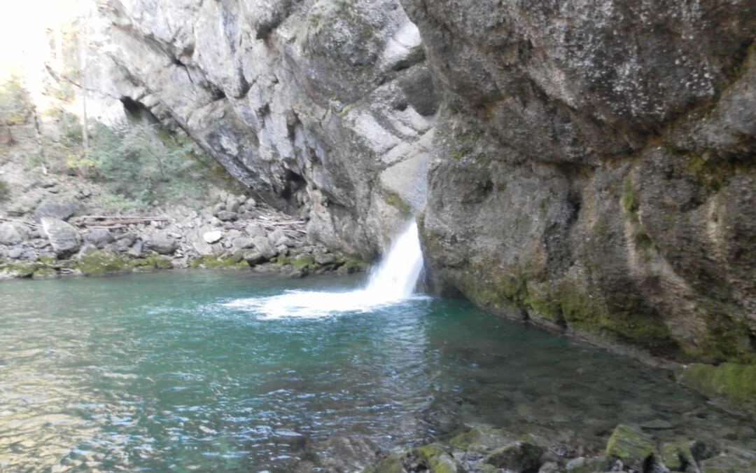 Kinesiologie-Workshop: Wilde Frau-wirklich starker Mann (Allgäu)